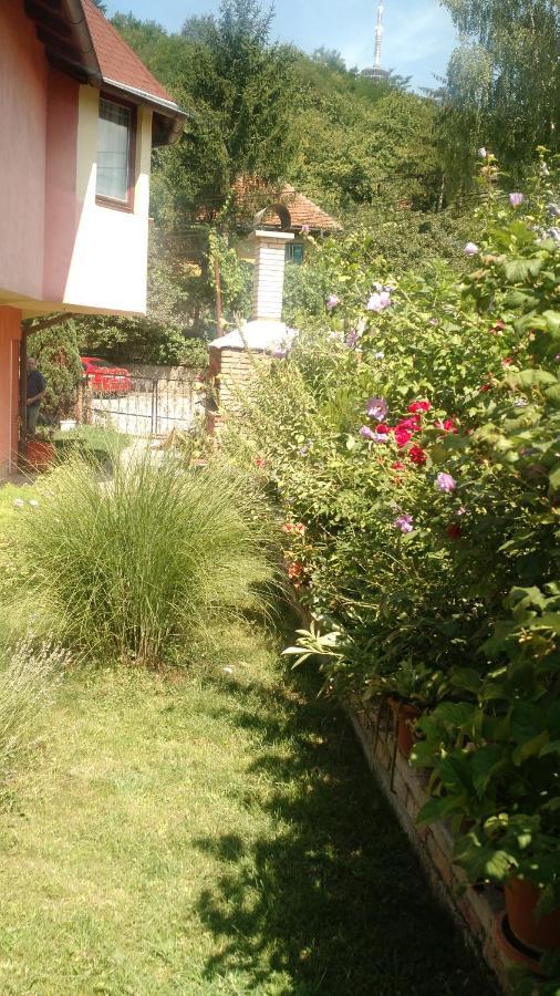 Apartman House Annesa Сараево Екстериор снимка
